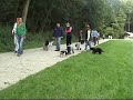 Regio wandeling Amsterdamsbos