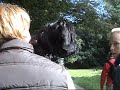Regio wandeling Amsterdamsbos