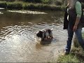 Regio wandeling Amsterdamsbos