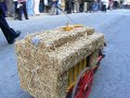 Tres Tombs 2007 Cerdanyola carrossa gos