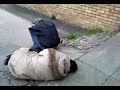 THESE R 2 LOCAL SMAKRAT PISSHEAD TWATS THAT WER ASLEEP DOWN MY STREET