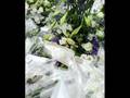 Funerailles-de-Grego