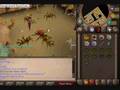 rs money making guide(it works!!!!! bete)