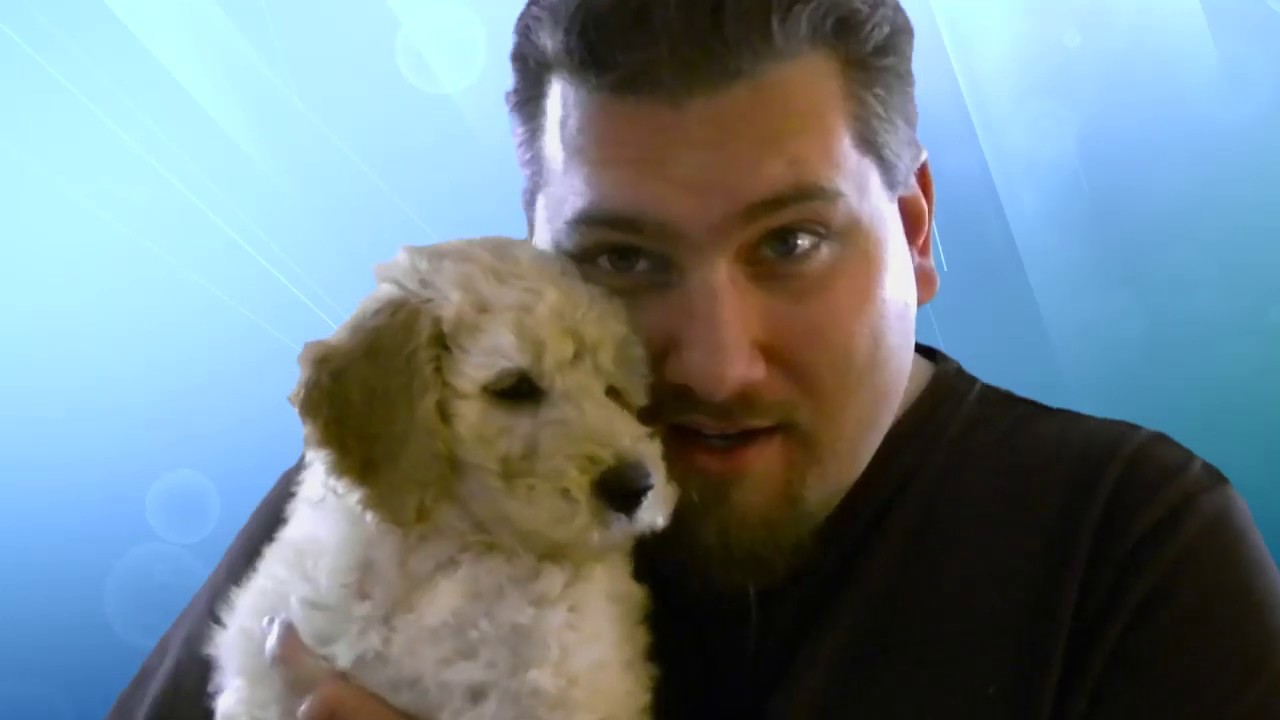 Ahhh... I Want One...