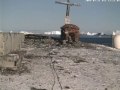 Gentoo Penguins - Antarctica Time Lapse