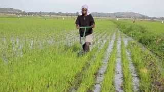 WEEDER Field Operation