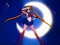 sailor moon amigos forever