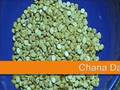 Stocking your pantry for Indian Cooking 101 - Part 1