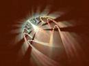 Whirling Test