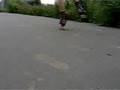 VanFut