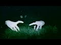trailer del dvd techar� live de ojos de brujo. directo, documental, extras... realizaci�n: aurora sulli, producci�n: arco y flecha