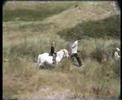 Family Holiday Visser Vlieland 1998