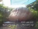 Giant Pumpkin Time Lapse, High Speed ...