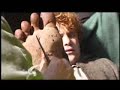 LotR: FotR LE - Astin Cuts His Foot LotR: FotR LE - Astin Cuts His Foot
