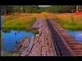 Zoei Toei-Swampflowers-Kupanskoye-Pereslavl