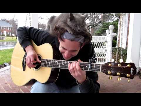 Watch 'Playing Guitar with a Cat Toupee'