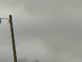 pt 3
