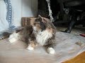 Macrina has a treat