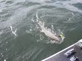 Salmon Fishing on the Columbia