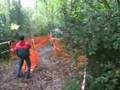 Course Solex
