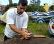 Rompimiento Tejas / Tile Breaking