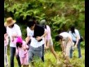 Mt. M Tree Planting Part 4 Mt. M Tree Planting Part 4