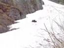 bear with cub in bucegi mountains3
