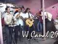 Los Tricolores
