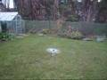 Honey Bee King 2 With Brusless 3900kv