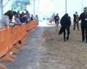 Asturcones - Concurso Morfologico - Gijon 2007 (III)