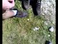 Lo scarpone ideale per il trekking.....