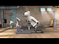 Polar Bear - Running Machine