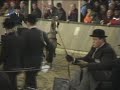 Muskey Gentleman hackney pony Nederland