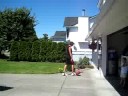 Dunking in the Driveway Dunking in the Driveway