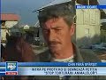 Some people from my country behave like barbarians regarding the animals. The Parliament of Romania debates the project for the foundation of the Animal's Police, a police structure which will have the duty to arrest/ to fine those who use to torture animals.