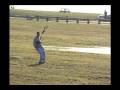 BAZINET COLT STATE.mov