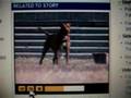 Pit Bull Almost Removes A Teen\'s Nose