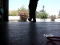 Insrtumental Cwalk- VeeTee