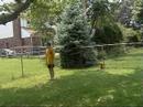 Backyard Soccer 2 Backyard Soccer 2