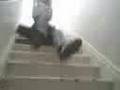 going down the stairs