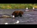videos de My Movie 27
