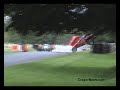 Gaviota parada en auto de carreras en plena competencia