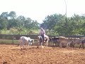 West Collors Day TMR - Treino I