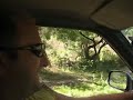 Camino - Tequila, Jalisco.