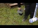 A Hammer and Sheer power of Cardboard