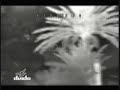 Operation Cold Harbor