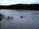 Daisy's First Swim