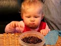 Christmas Snacks of fried flying ants