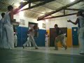 Playing Capoeira