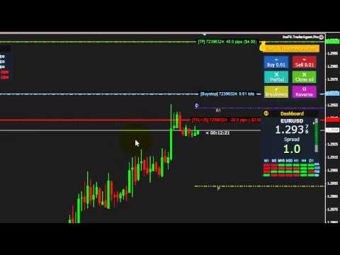 Binary option trading simulator
